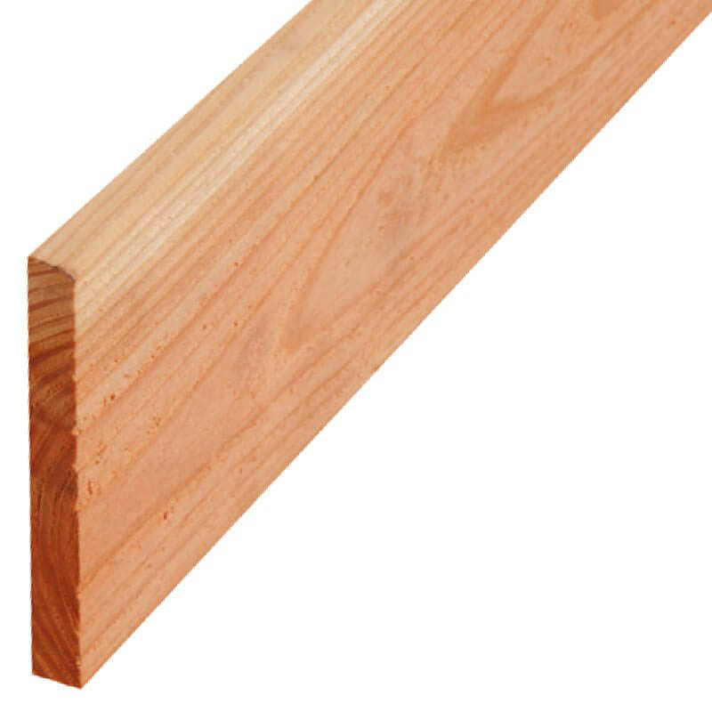 Elephant Schuttingplank Lariks Douglas 16 X 155 Cm 180 Mtr Grof Geschaafd elephant kopen in de aanbieding